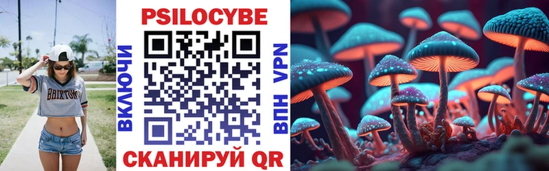Псилоцибиновые грибы прущие грибы  Сегежа 