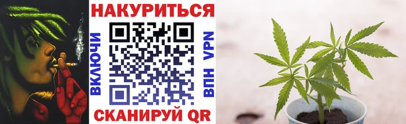 сколько стоит  Сегежа  Бошки марихуана Bruce Banner 